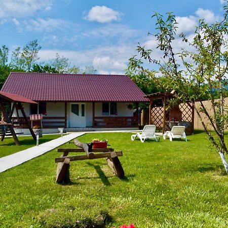 Casa Magda - Oaza De Relaxare Villa Calimanesti Exterior photo